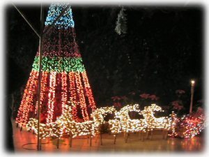 During Christmastime, the house is decked with Christmas lights